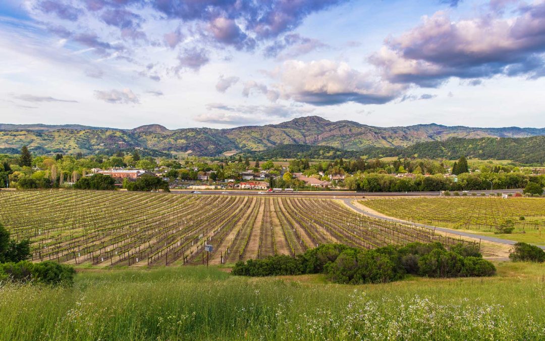 Yountville-From-Chandon