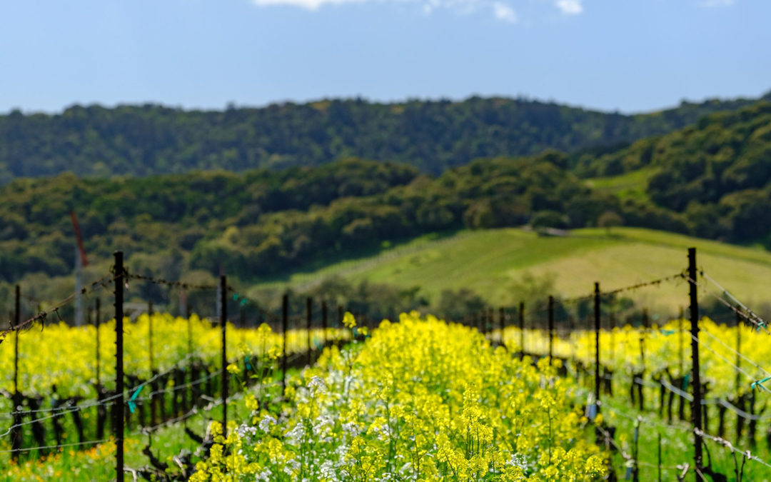 Industry Partners Rally to Support the Napa Valley’s Second Largest Industry