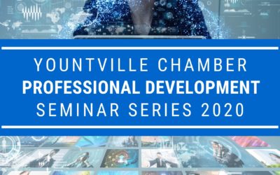 Professional Development Webinar Series Summer 2020