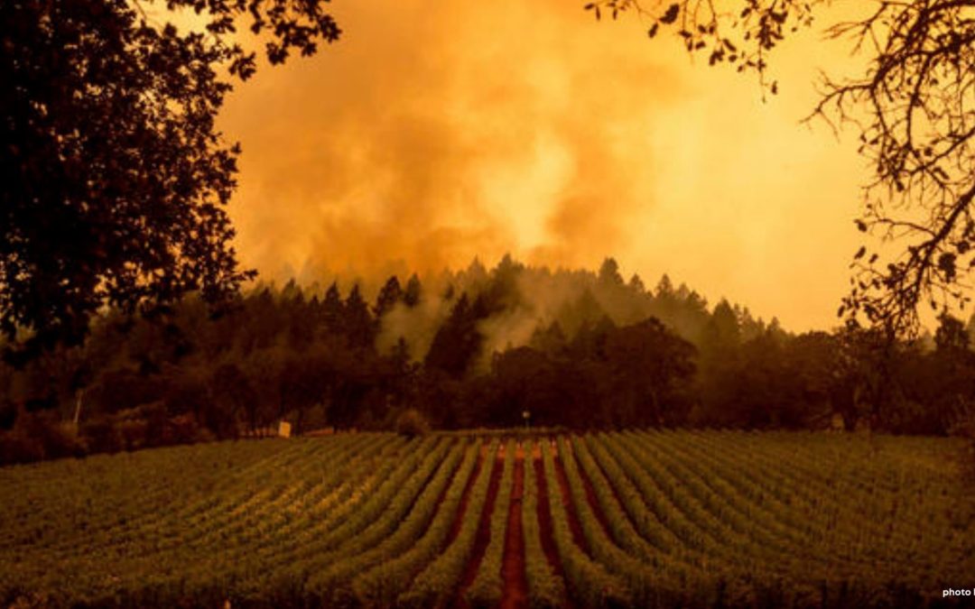 Napa County Fire Resources