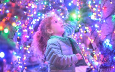Holidays in Yountville Overview