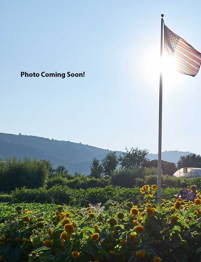 21_BOD_Photo-Coming-Soon!