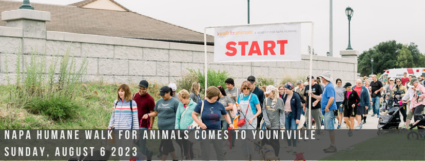 The 12th Annual Napa Humane Walk for Animals Comes to Yountville