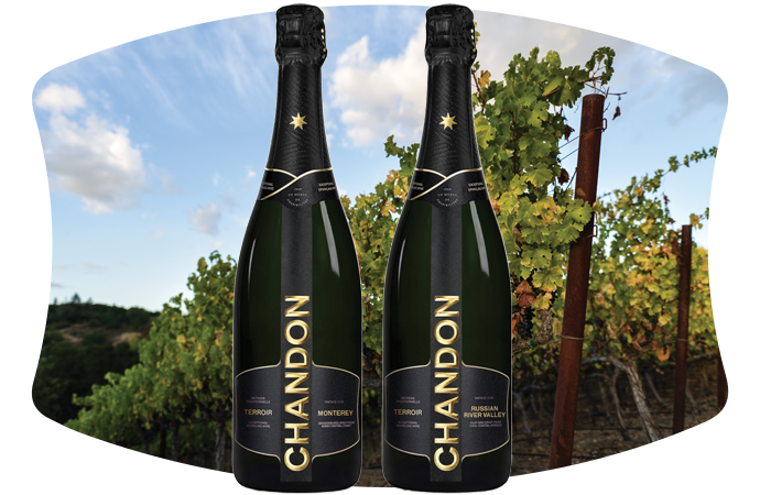 Chandon New Bottles Chandon New Bottles in vineyard