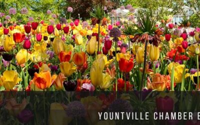 Yountville Chamber: May 9 Newsletter