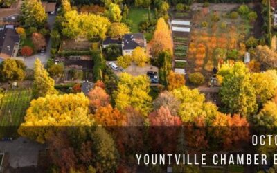 Yountville Chamber: October 10 Newsletter