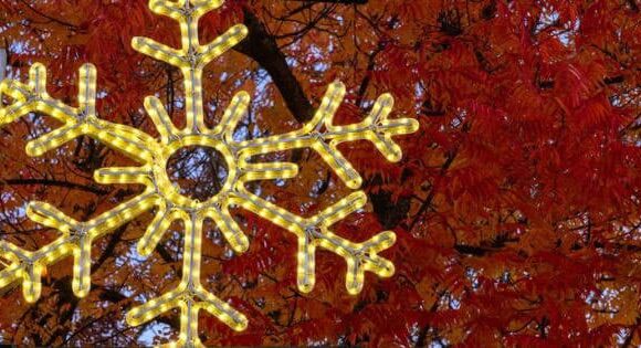 Hotels-Bed-Breakfasts-in-Yountville-featured-photo headshot of Brandon Williams