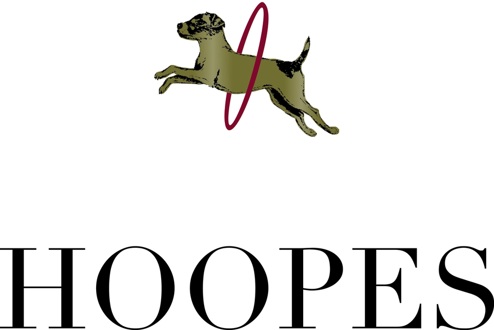 Etude logo for Website