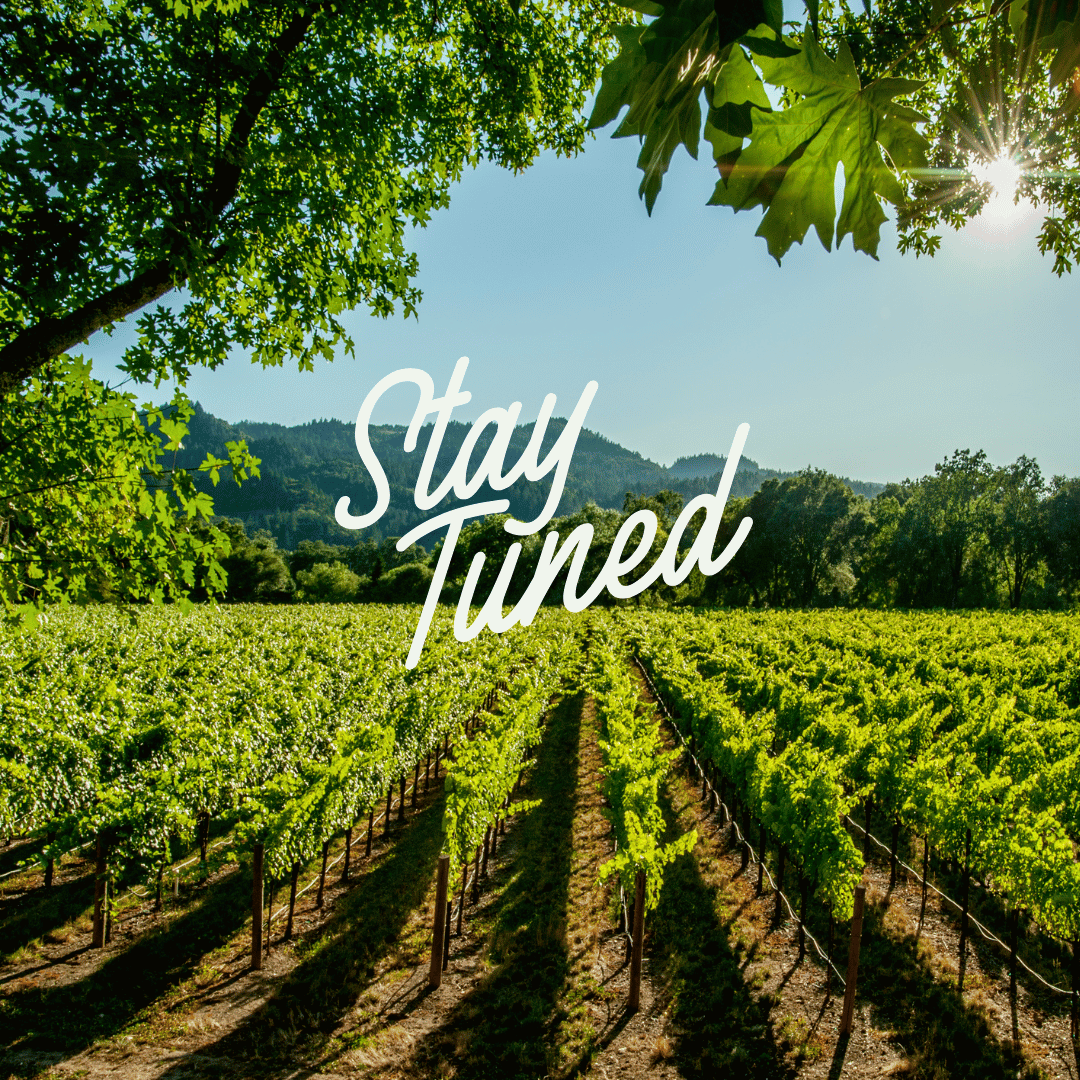 Purple Phone Reminder Video Notification Your Story (1000 x 1000 px) (1)