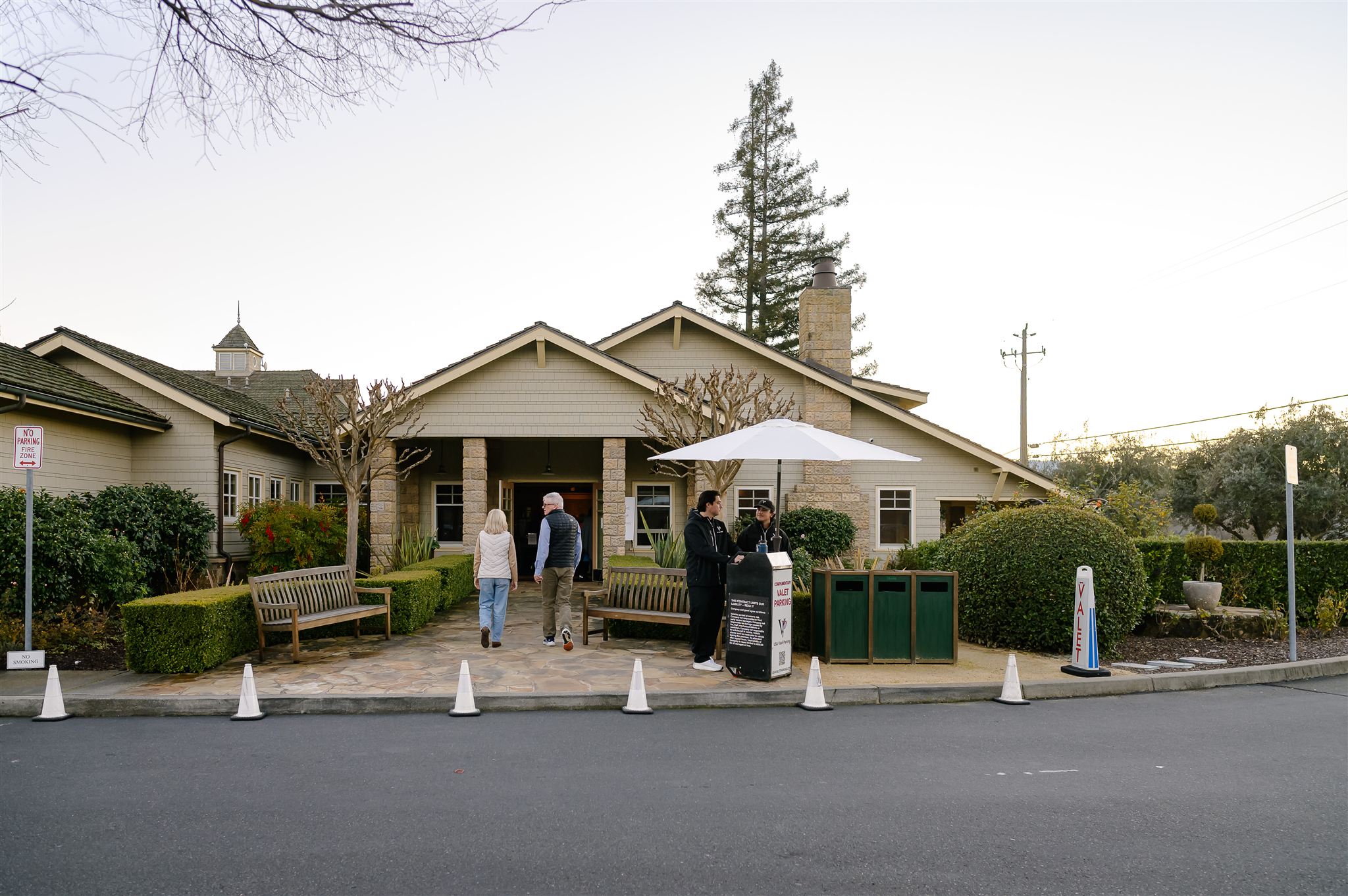 20_Mustard_1920x1080