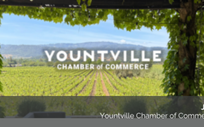 July 24th Newsletter : So Much to Do, But Plenty of Summer Left