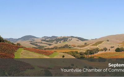 September 18th Newsletter: Harvest In Yountville