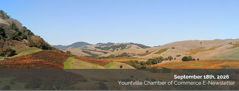 September 18th Newsletter: Harvest In Yountville