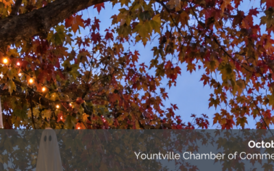October 2nd Newsletter: Spooky Season in Wine Country