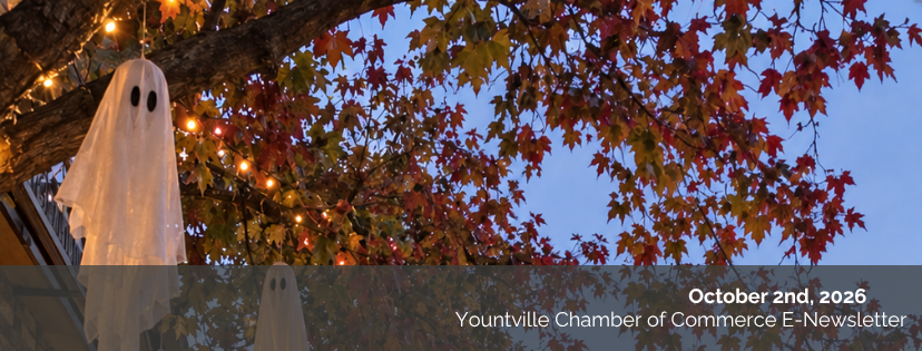 October 2nd Newsletter: Spooky Season in Wine Country